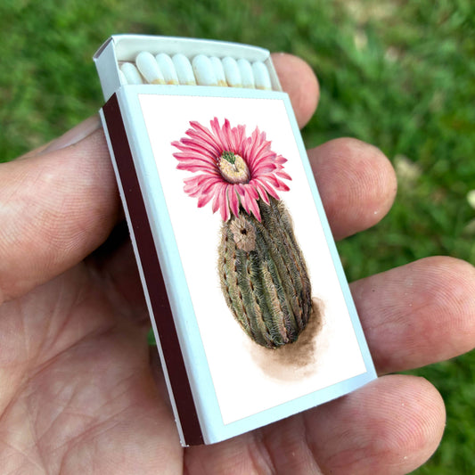 Matches • Turkeyhead Cactus •