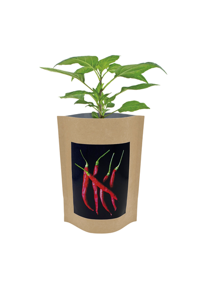 Garden in a Box | Vegetable Garden