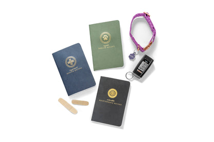 Automobile Maintenance Record Journal