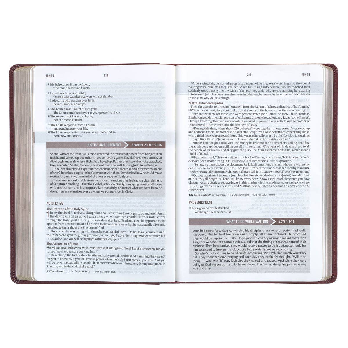 Christian Art Gifts - Devotional Bible NLT for Men Faux Leather, Saddle Tan