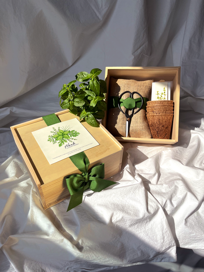 Flower Cutting Garden Box | Mixed Zinnia