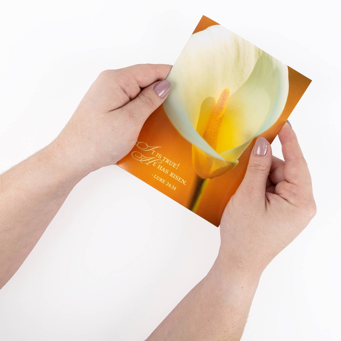 Divinity Boutique - Boxed Cards: Easter, Spring Flowers