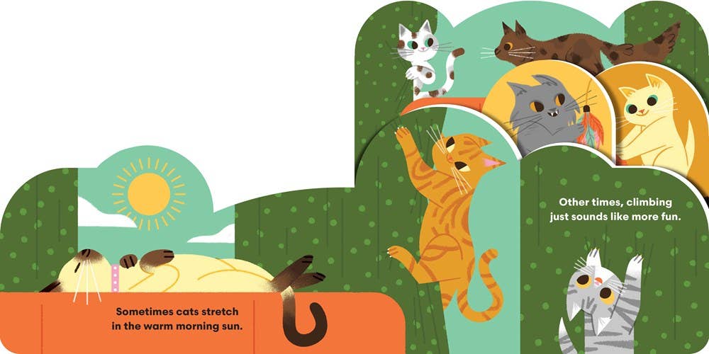 Algunos gatos