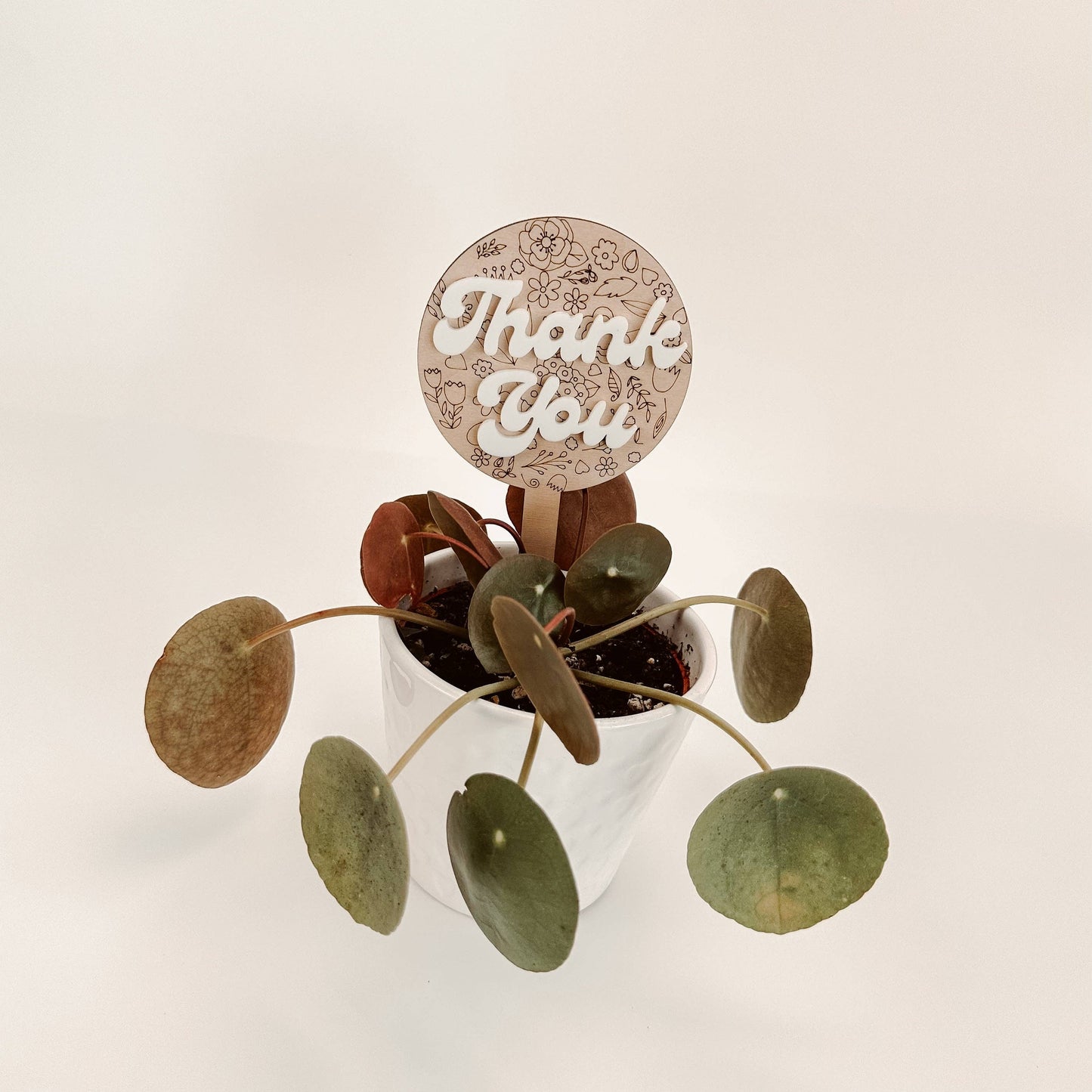Gracias - Estaca de planta