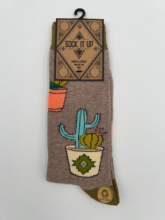 Socks-Cactus Hugs