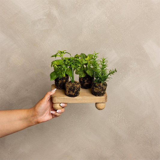 Herbs In Soil Unpotted Sold Separately