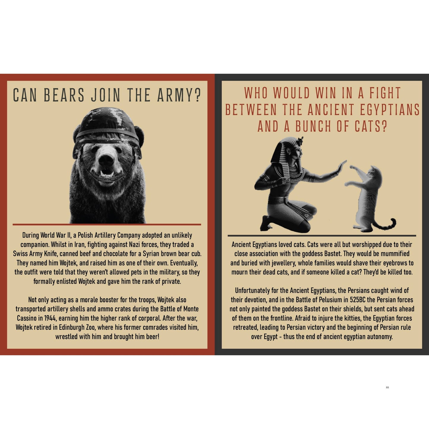 Curious Man Thoughts Gift Books - Funny Men's Gifts