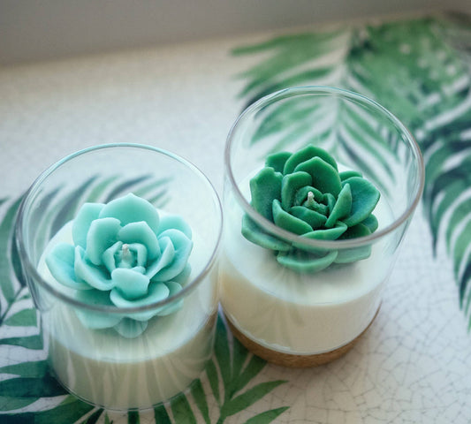 Succulent Soy Candle | Soy Blend