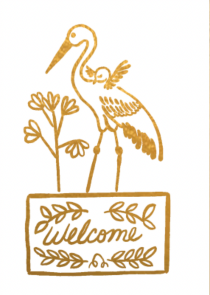 Enclosure Card - Welcome Stork