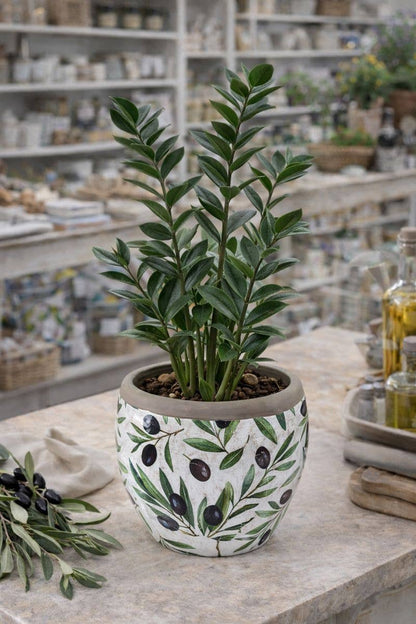 Black Olives Leaves Planter - Spring