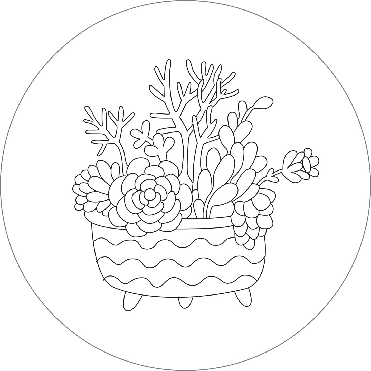 Blooms & Succulents Embroidery Pattern Transfers