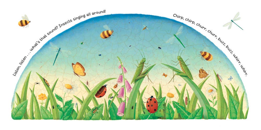 Listen, Listen Board Book