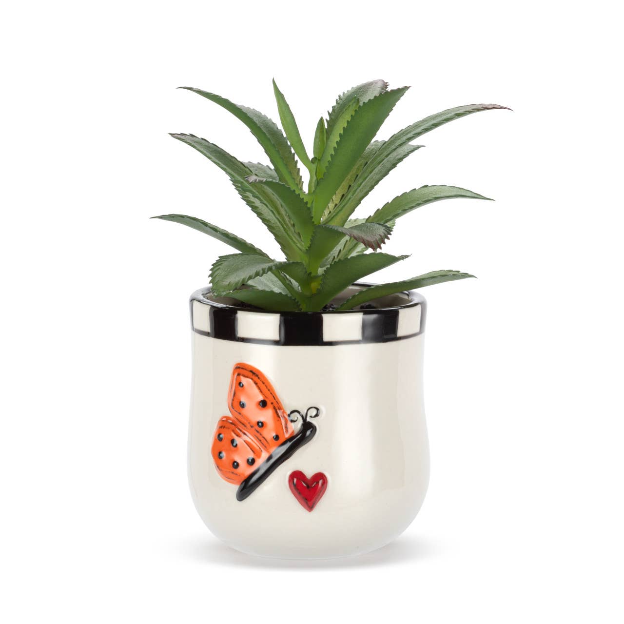Mini Succulent Butterfly