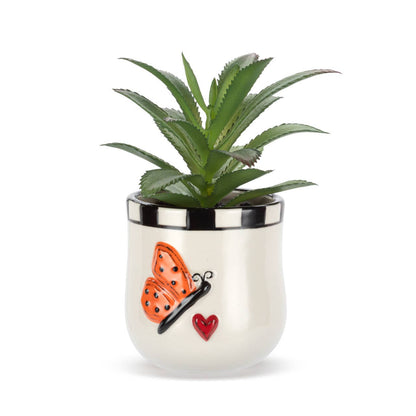 Mini Succulent Butterfly