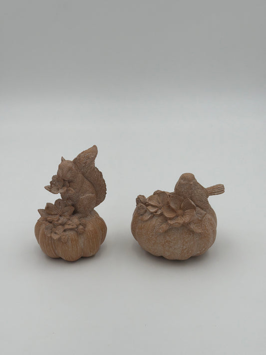 Pájaro y ardilla sobre calabaza - Juego de 2