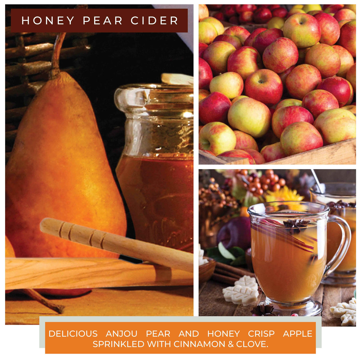 Honey Pear Cider – Scented Wax Melts 8-Pack by ACG