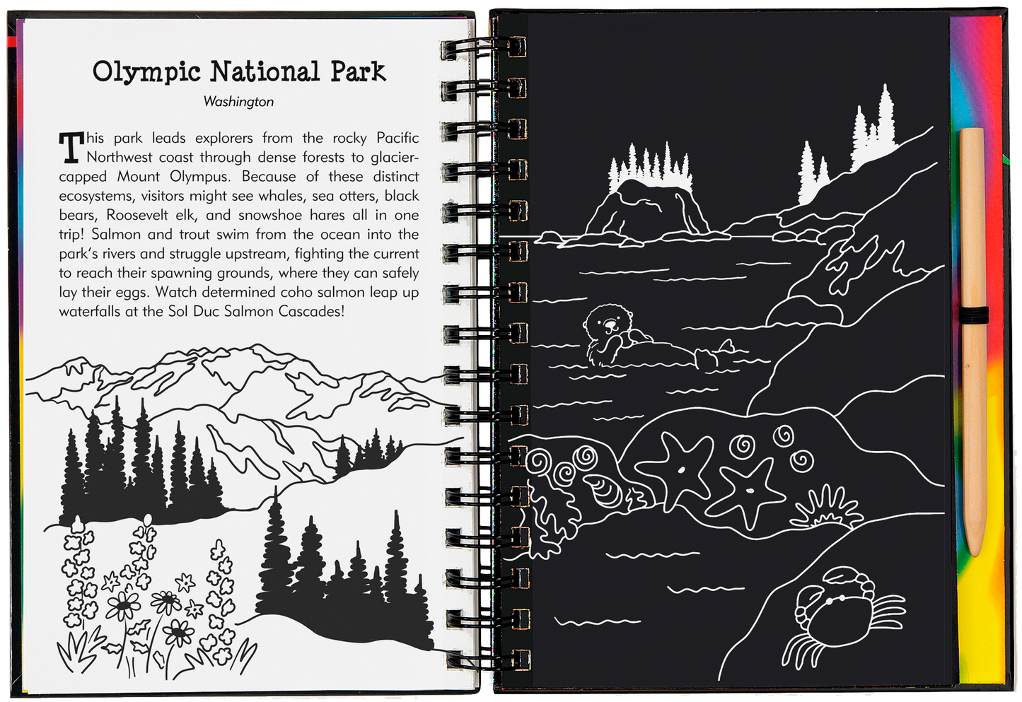 Parques Nacionales Scratch &amp; Sketch™