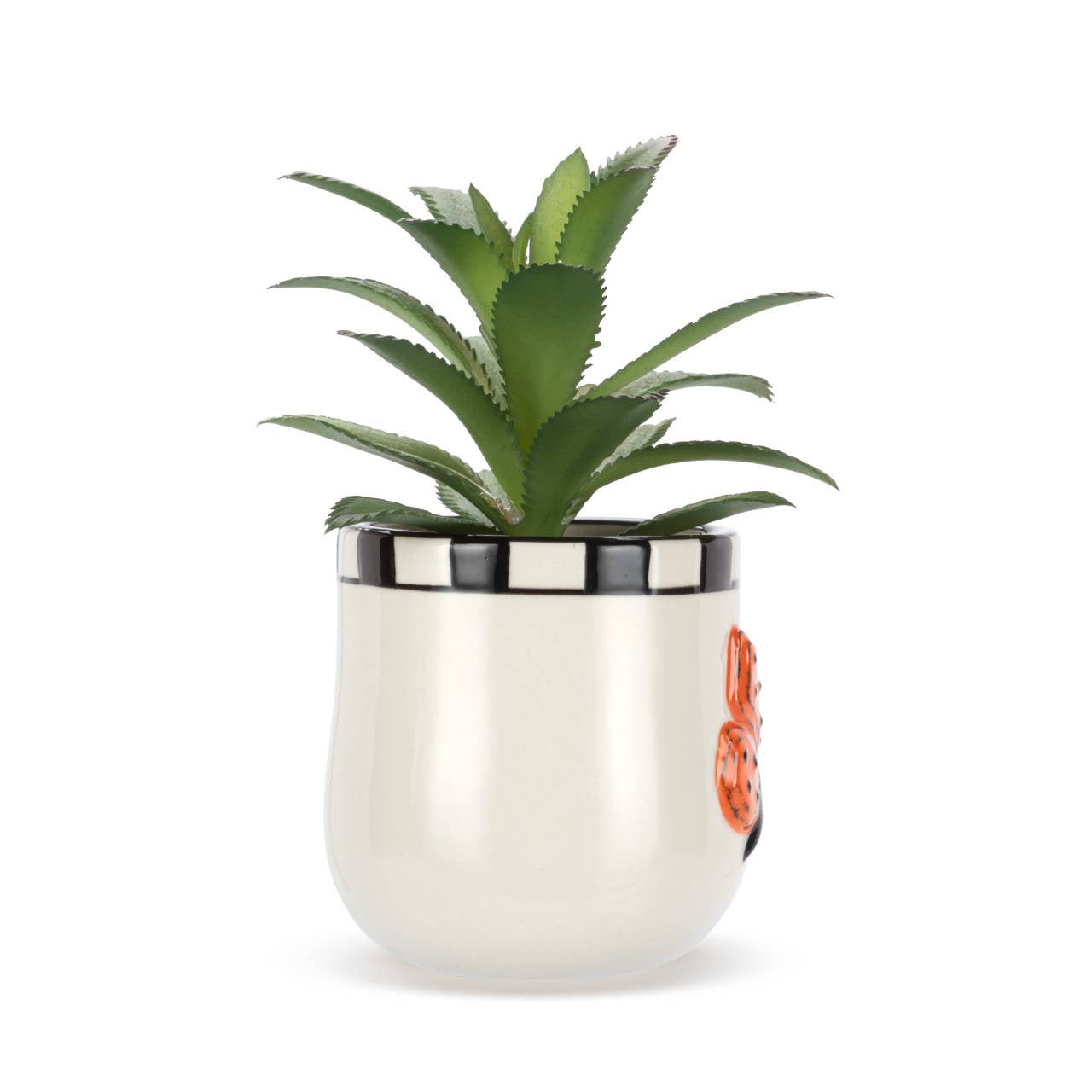 Mini Succulent Butterfly