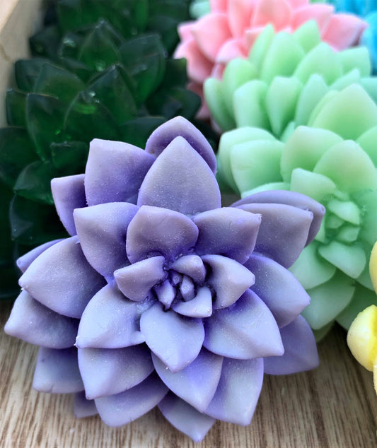 3D Succulent Soaps