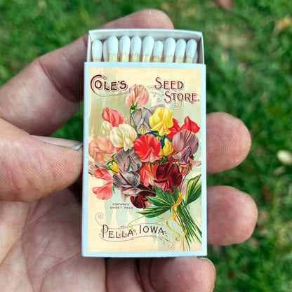 Sweet Pea Flower Matches