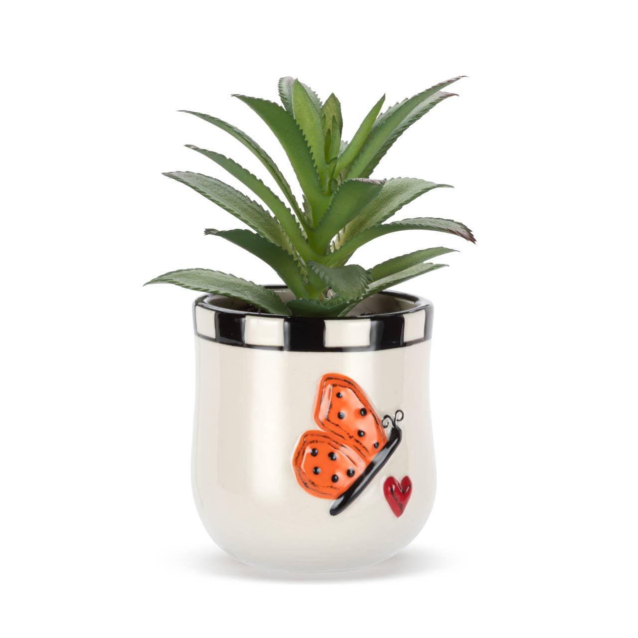 Mini Succulent Butterfly