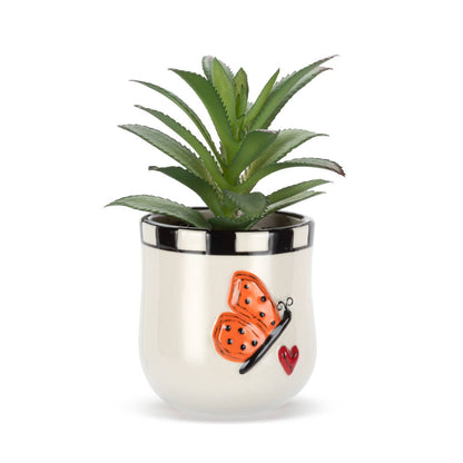 Mini Succulent Butterfly
