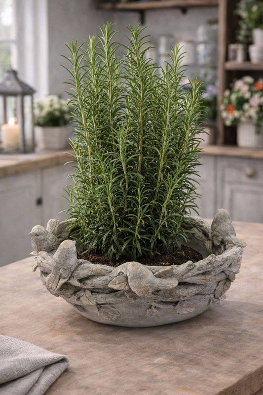 Sculpted Bird & Vine Planter