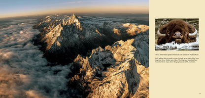 Wild Yellowstone: Land of Geysers & Grizzlies