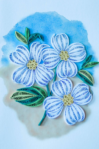 Dogwood Blossoms