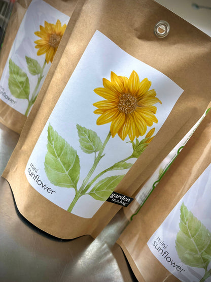 Garden in a Bag | Sunflower