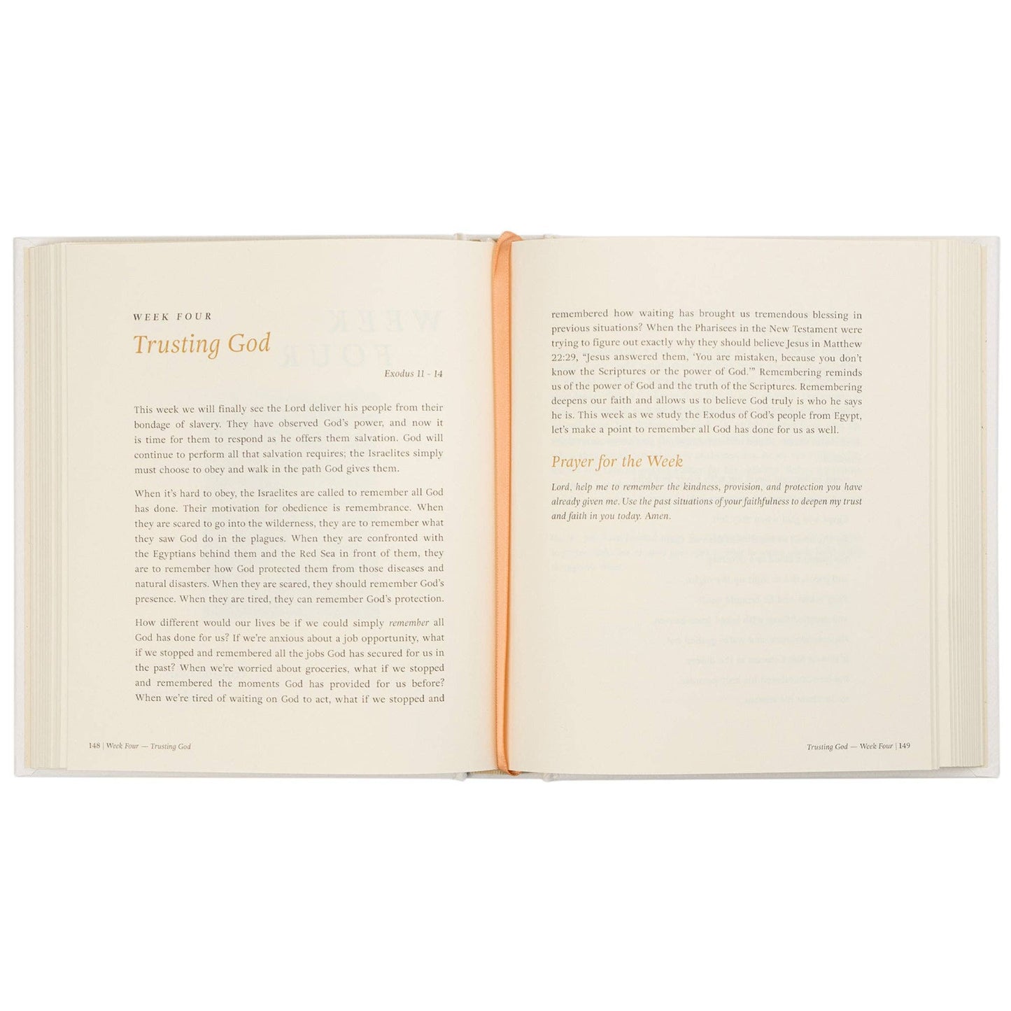 Bible Study: Beyond Egypt by Kari Minter
