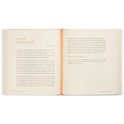 Bible Study: Beyond Egypt by Kari Minter