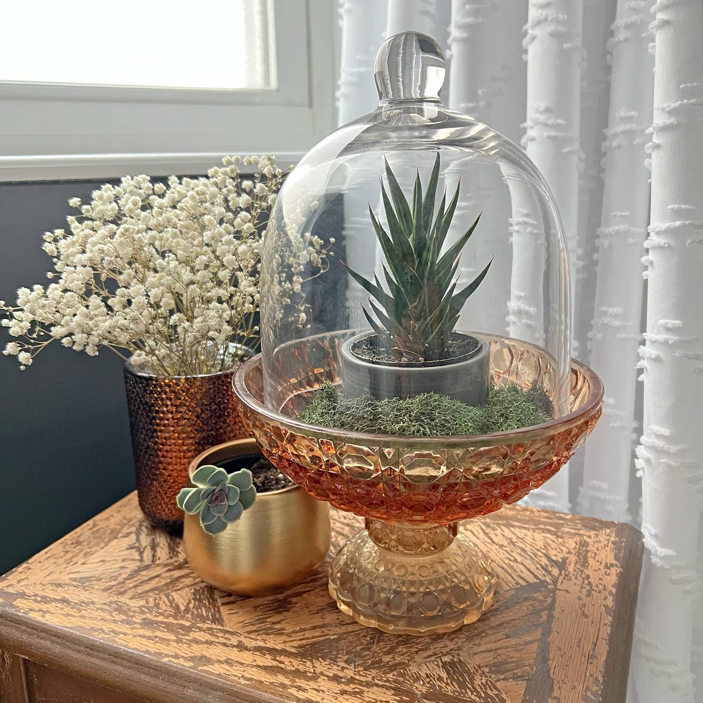 Bell Jar Glass Display Dome Cloche  6" x 7"