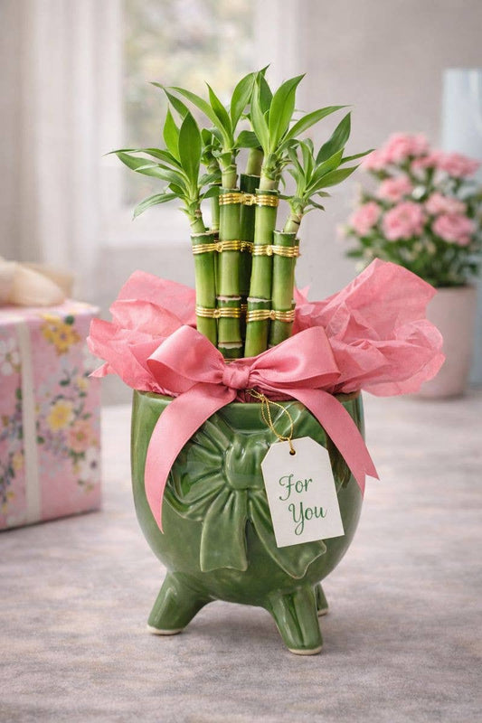 Green Footed Bow Planter