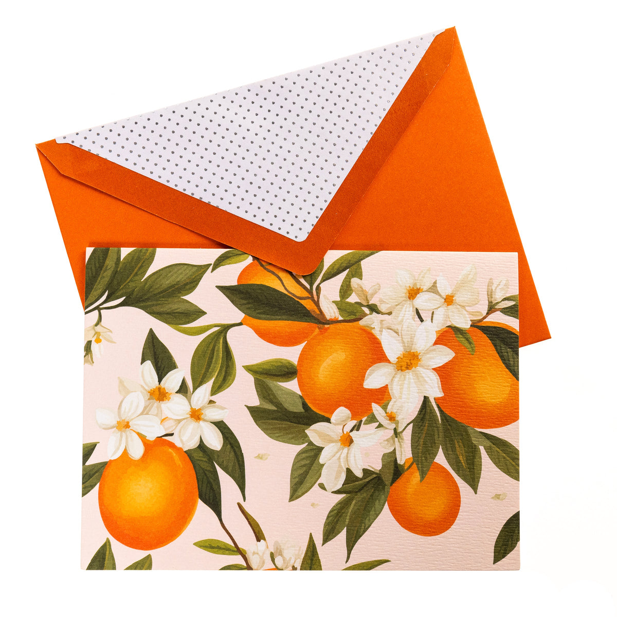 La Petite Presse L'Orange Boxed Correspondence Notes, A brown gift box open to a cream notecard printed with ripe oranges and white orange blossoms, paired with a bright orange envelope.