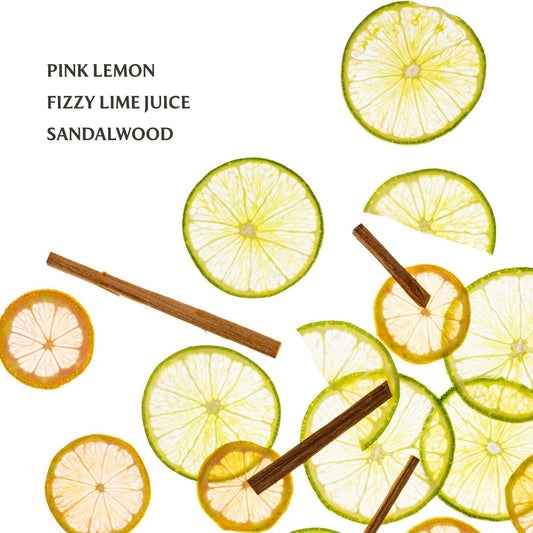 Lemon Lime Spritz Power Mist Hydrating Hand Sanitizer