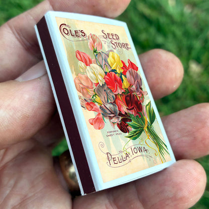 Sweet Pea Flower Matches