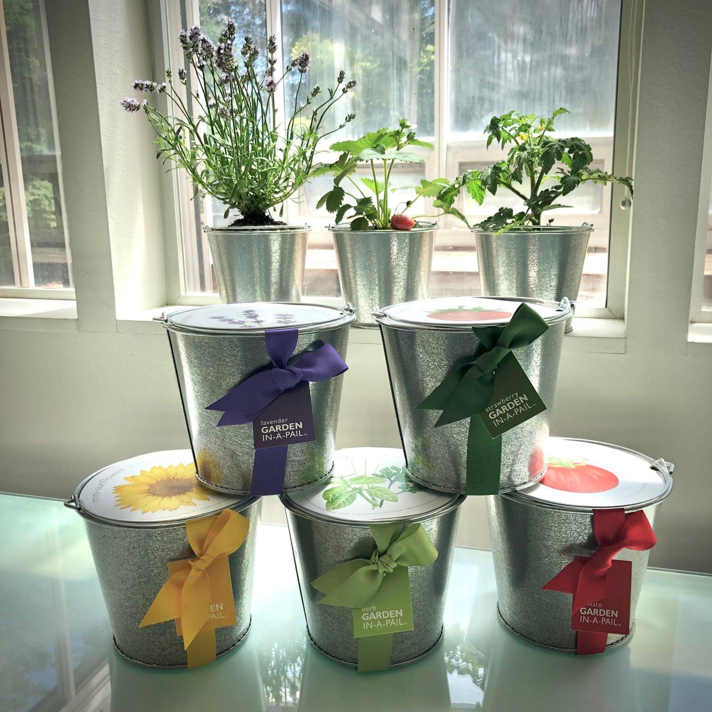 Garden in a Pail | Herbs |