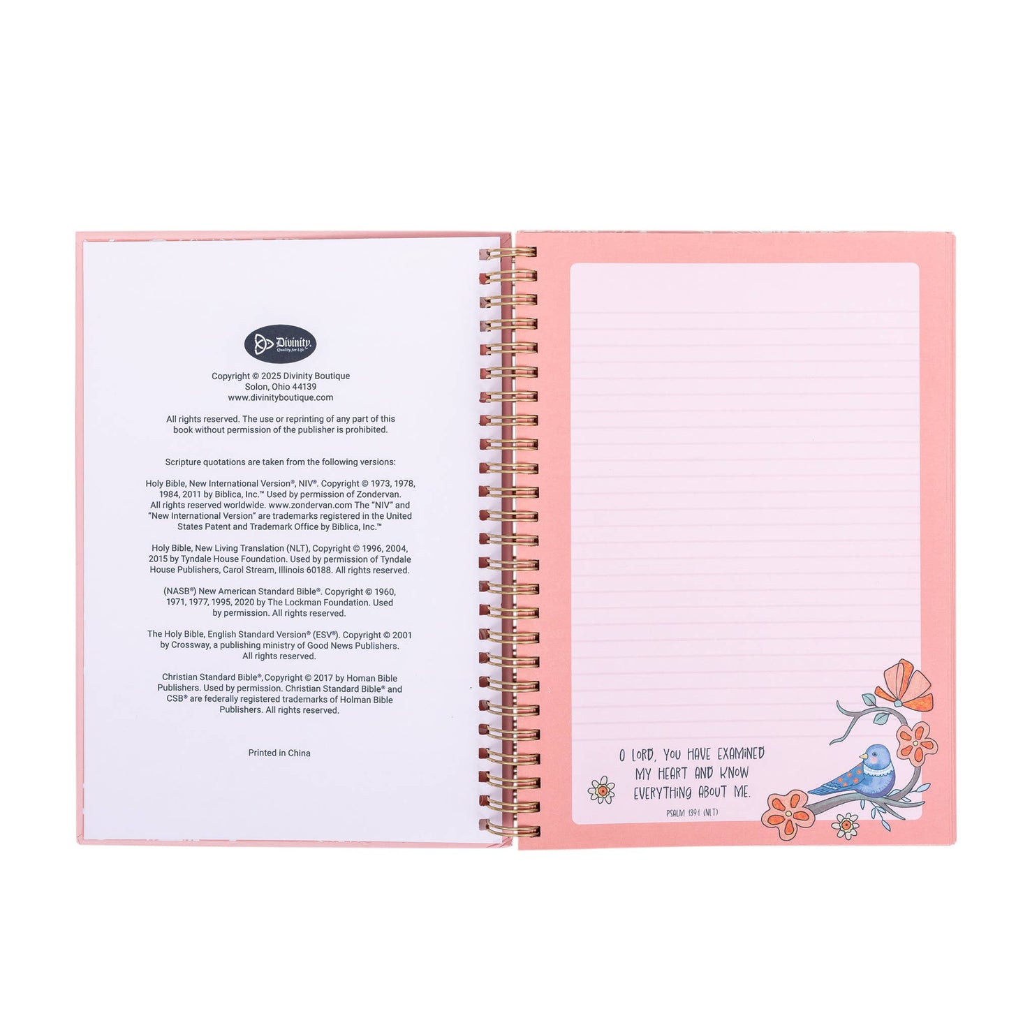 Divinity Boutique - Scripture Wiro Journal: Great Plans, Jeremiah 29:11