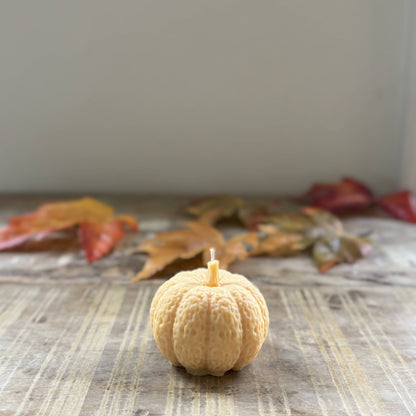Pumpkin candle-sold separately