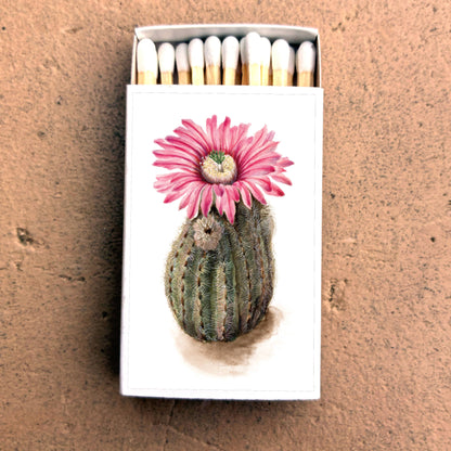 Matches • Turkeyhead Cactus •