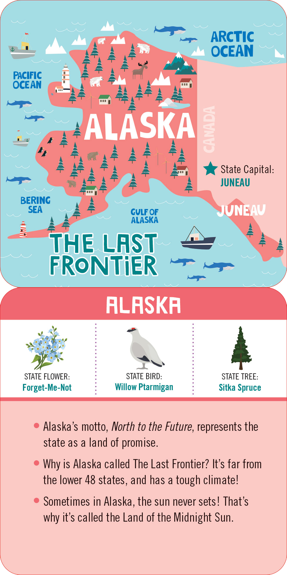 Lunch Box Notes for Kids-USA