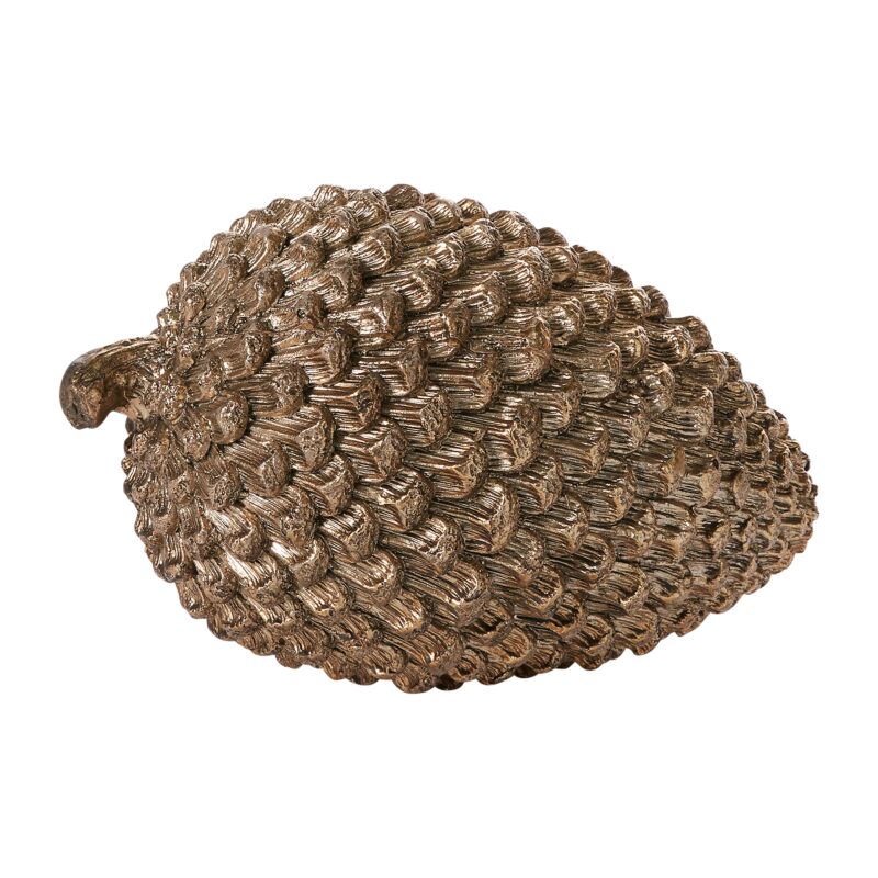 Cono de corte