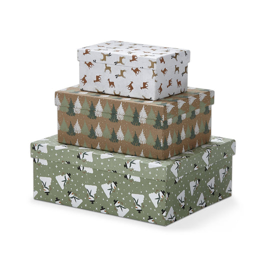 Balsam Paper Box Set of 3 - Multi