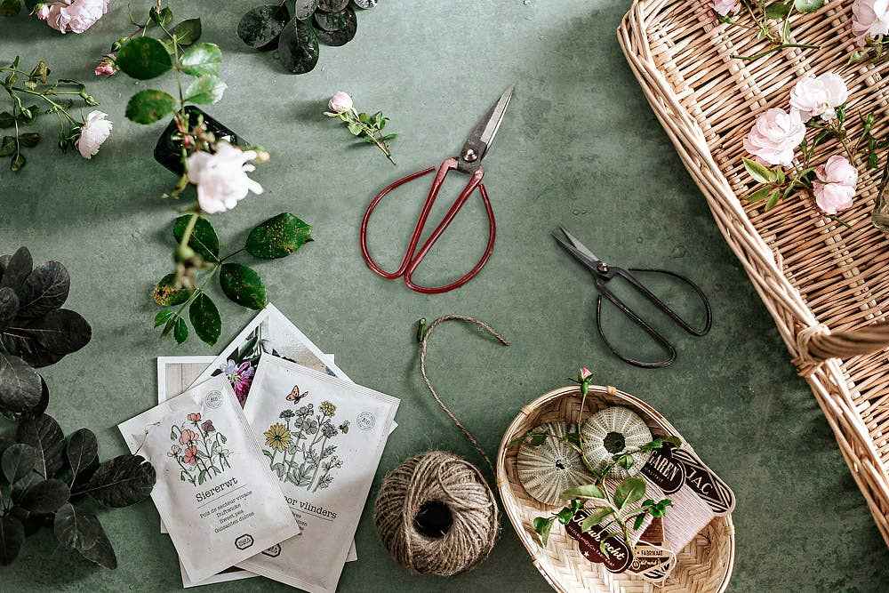 Flower Stem Shears - 3 Asst Colors