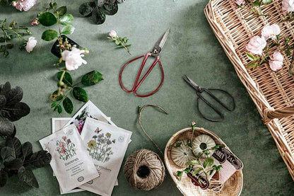 Flower Stem Shears - 3 Asst Colors