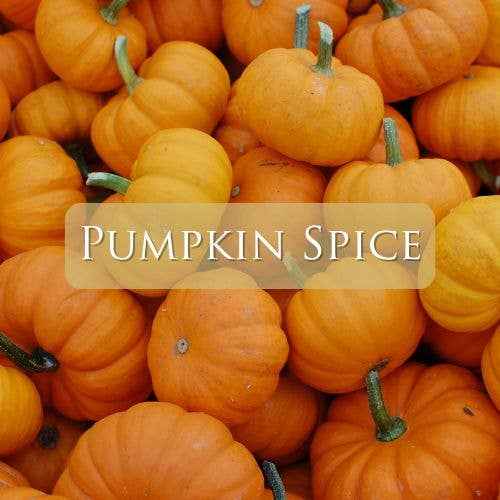 Pumpkin Spice: 3 OZ Marquis