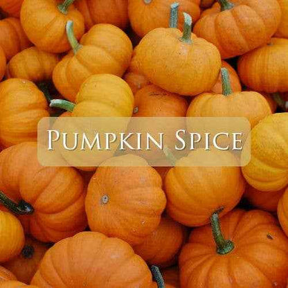 Pumpkin Spice: 3 OZ Marquis