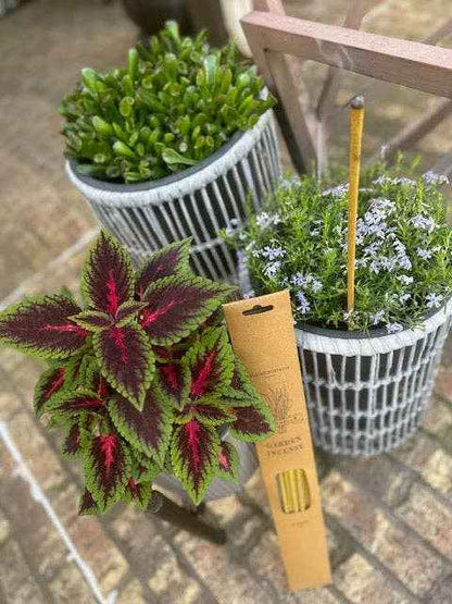 Citronella Incense
