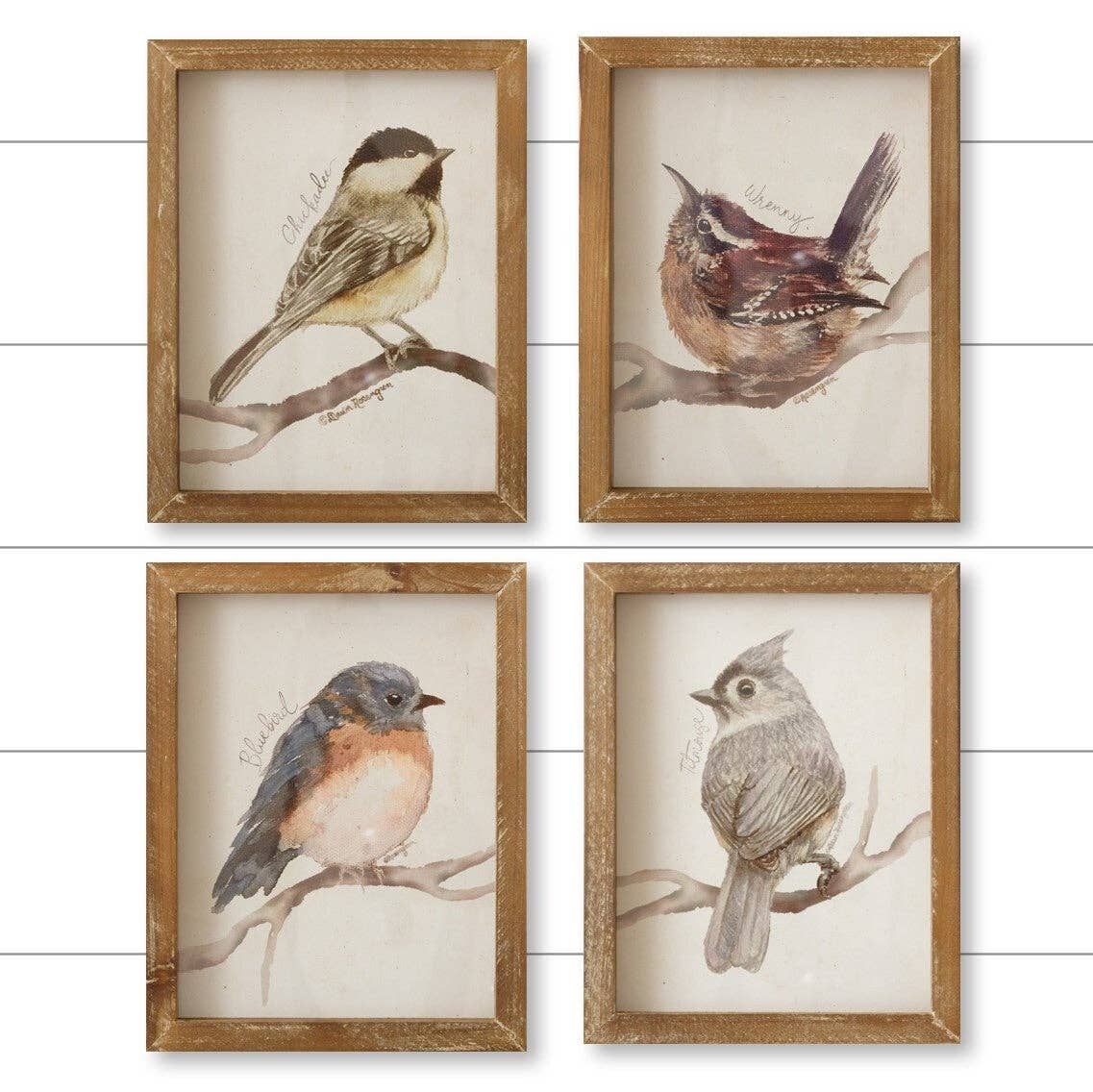 Framed Prints - Birds